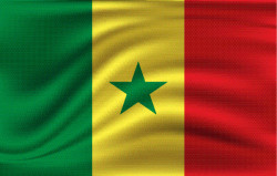 bigstock-Flag-Of-Senegal-Realistic-Wav-385907260-2.jpg