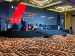 renewables panel.jpeg