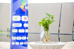 52328913874_5d933f01ec_6k (1).jpg