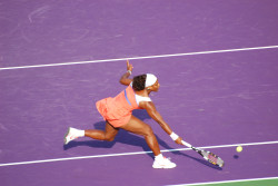 ECP - GBIS image.jpg