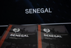 Senegal AES Report.png